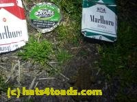 /home//u458753944/public_html/sourcegallery/////Roxborough Toad Detour/2013-2019/2013/2013-04-09/P1120184.JPG